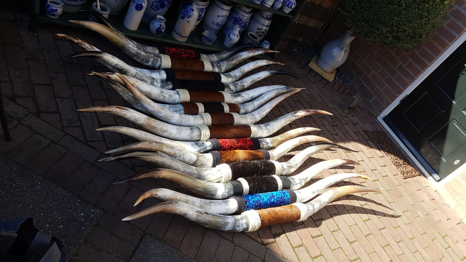 Longhorn, Ophalen, Nieuw, Boerderijdier, Opgezet dier