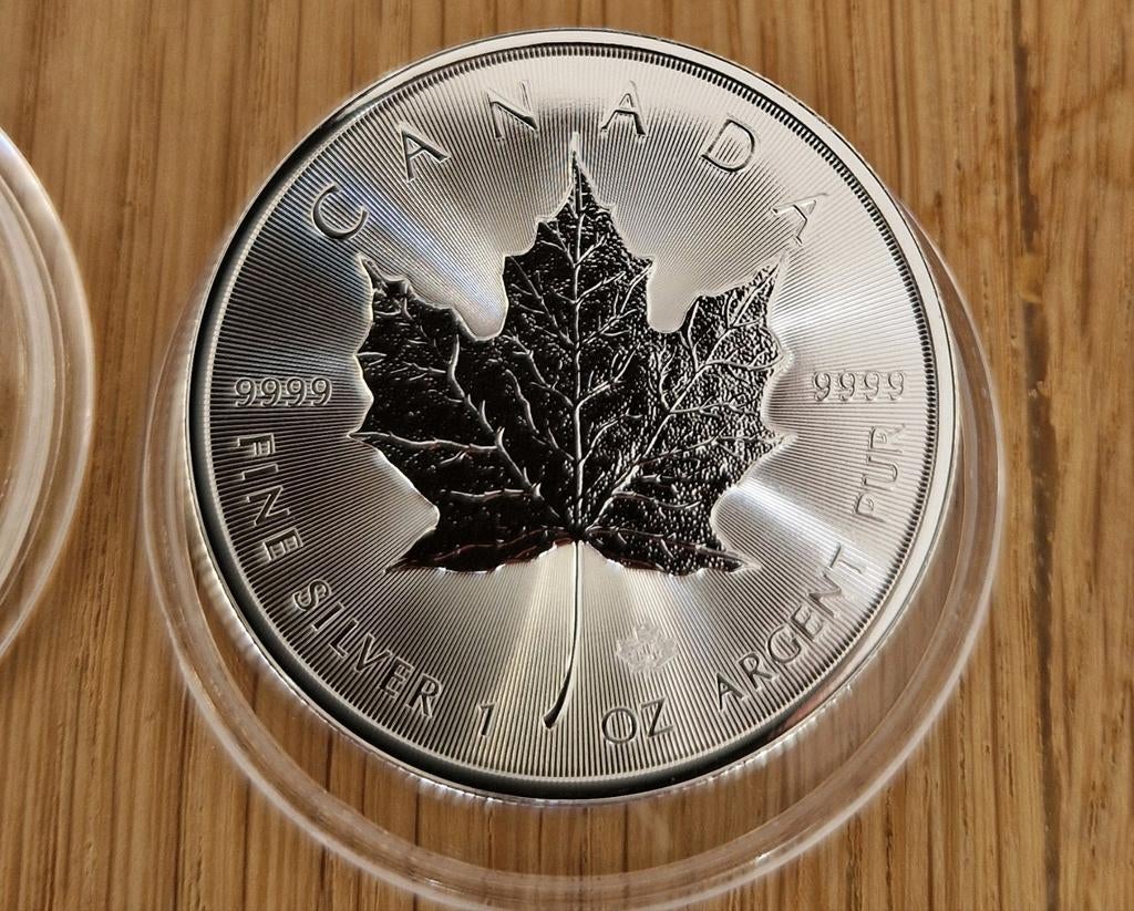 Zilveren Canadese Maple Leaf Munten 1 oz, Ophalen of Verzenden, Zilver