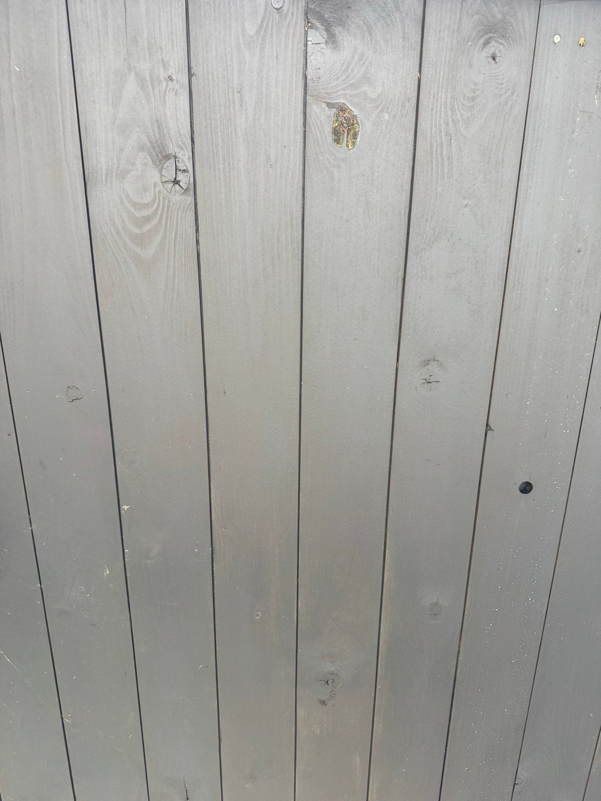 48 m² zwarte gebeitst houten delen plafond, wand, veranda, Doe-het-zelf en Verbouw, Hout en Planken, Ophalen, Gebruikt, Minder dan 25 mm