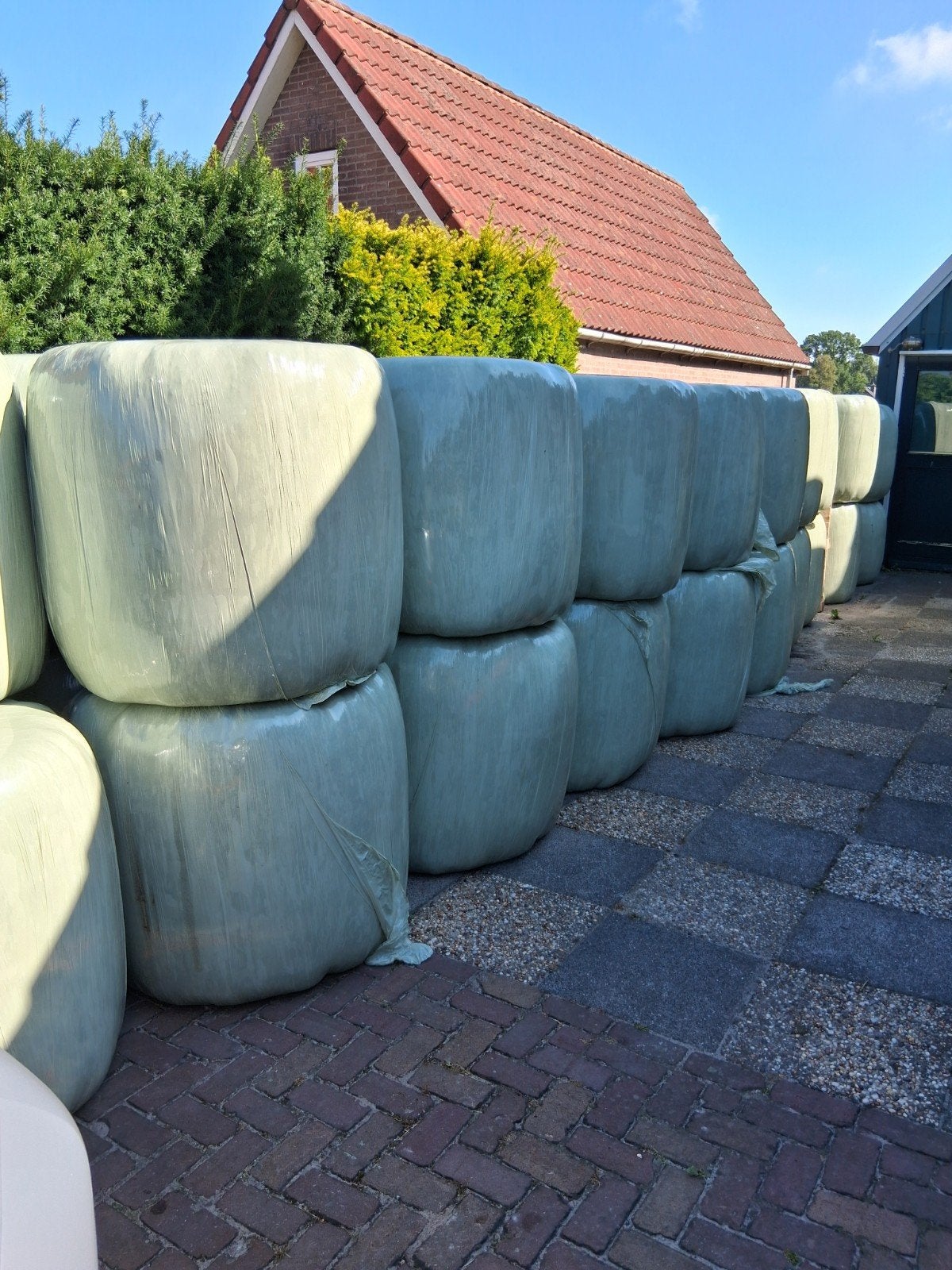 Midi balen hooi, Ophalen, Vee