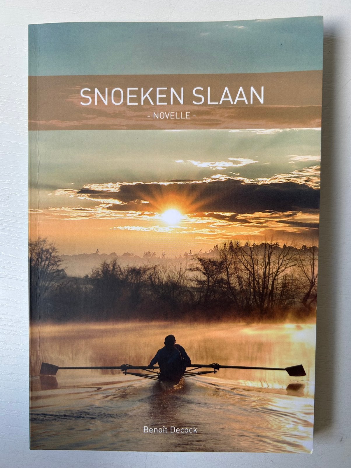 Benoît Decock - Snoeken slaan, Ophalen of Verzenden, Gelezen, Benoît Decock