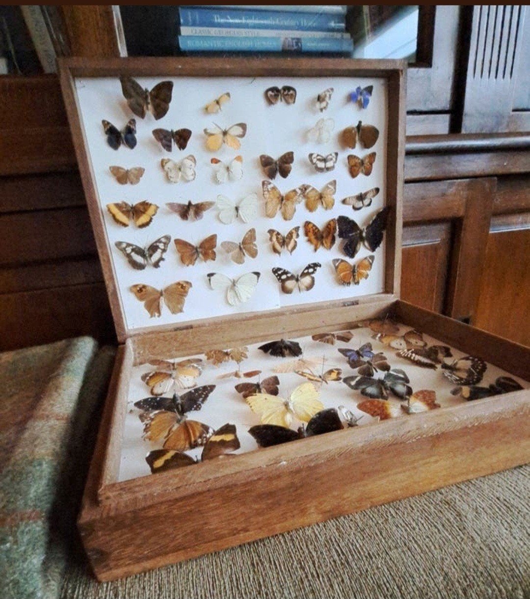 houten doos met vlinders, Ophalen of Verzenden