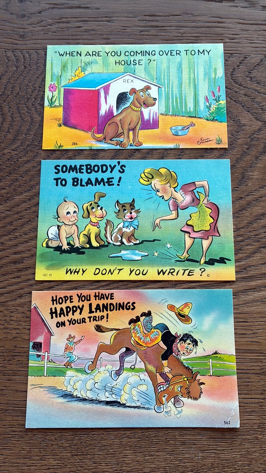 Humor. 3 kaarten.Hond, kat, paatd, Verzamelen, Ophalen of Verzenden, 1980 tot heden, Ongelopen, Overige thema's