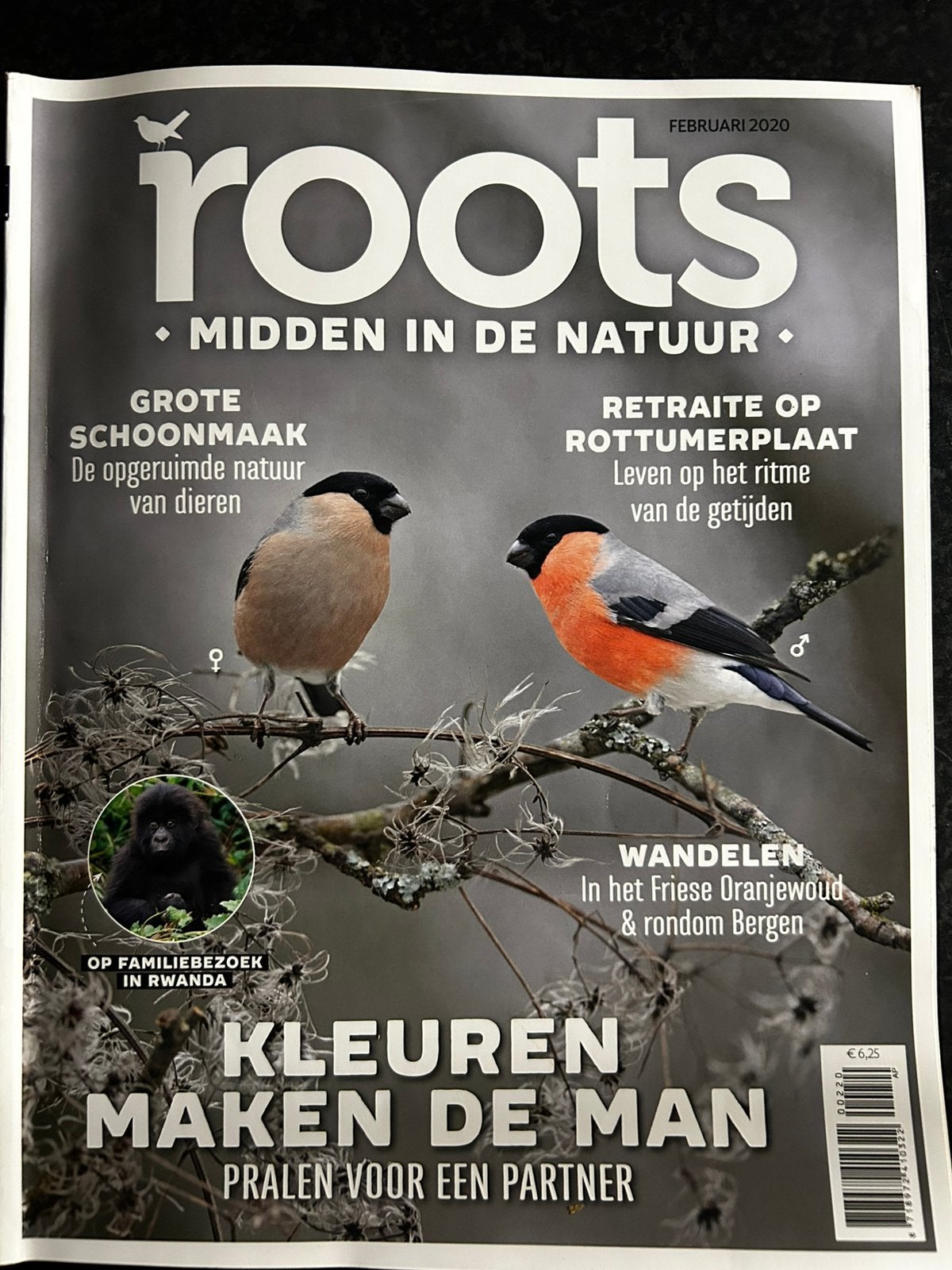 Gevraagd tijdschriften gratis ☺️, Boeken, Tijdschriften en Kranten, Ophalen, Zo goed als nieuw