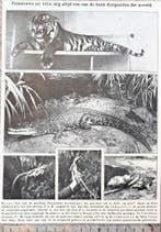 Artis 1917; fotonieuws 1 blz., Verzenden, Voor 1940, Gebruikt, Dier