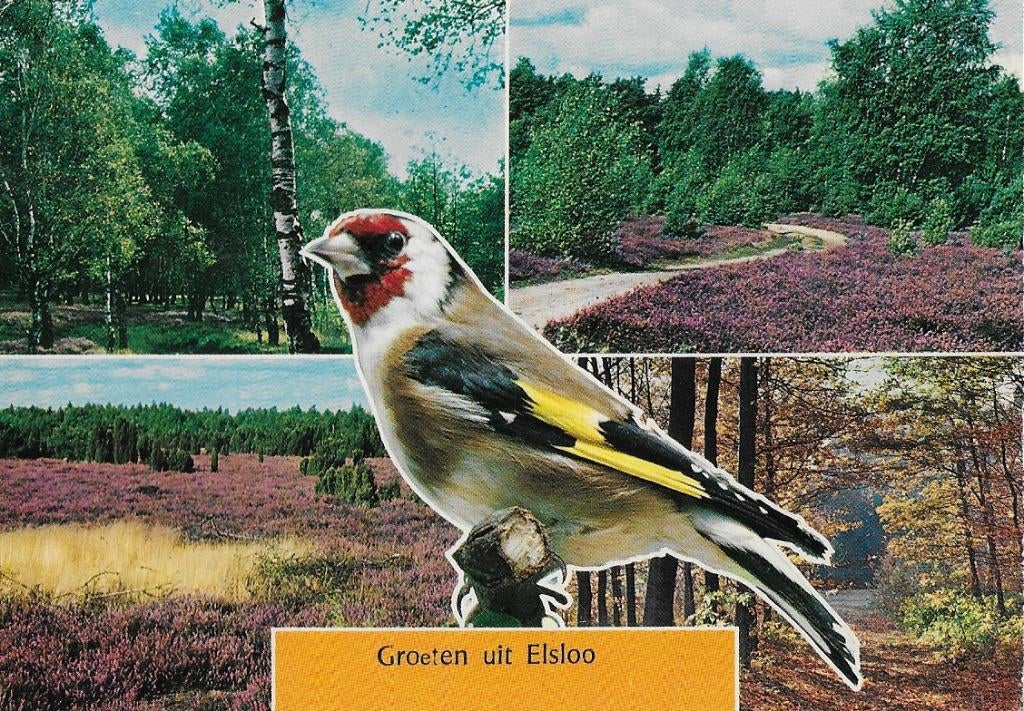 Elsloo Friesland Gelopen Ansichtkaart (B61), Verzamelen, Ophalen of Verzenden, 1980 tot heden, Gelopen, Friesland
