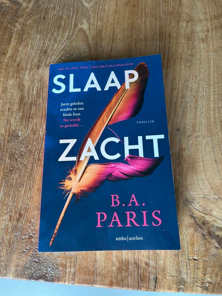 Slaap Zacht - B.A. Paris (Thriller), Boeken, Thrillers, Gelezen, Nederland, Ophalen of Verzenden