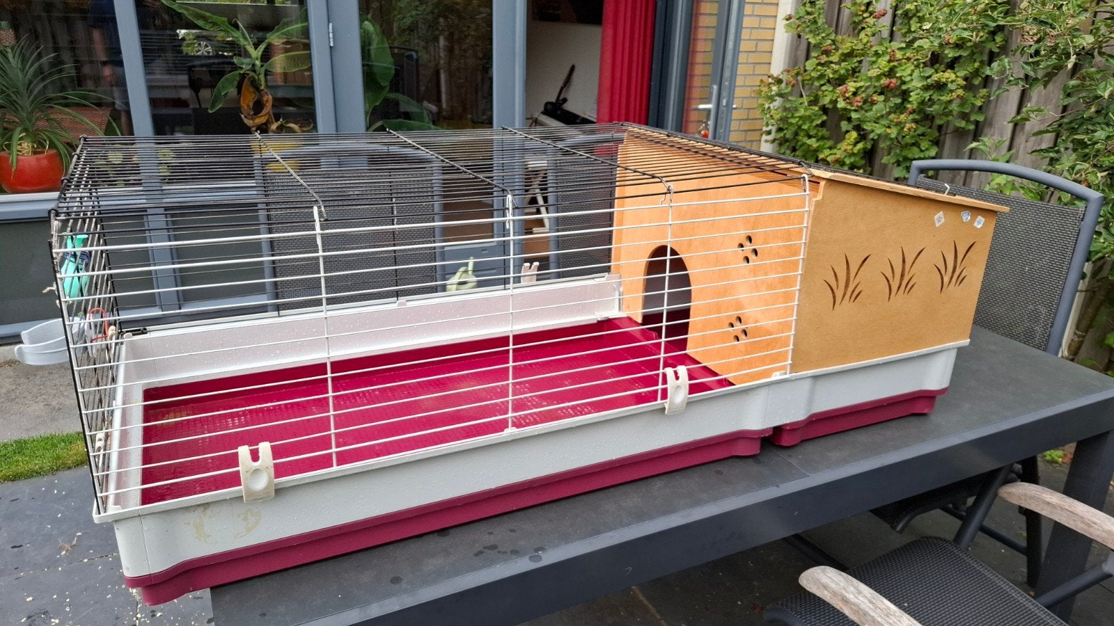 Cavia knaagdier kooi, Ophalen