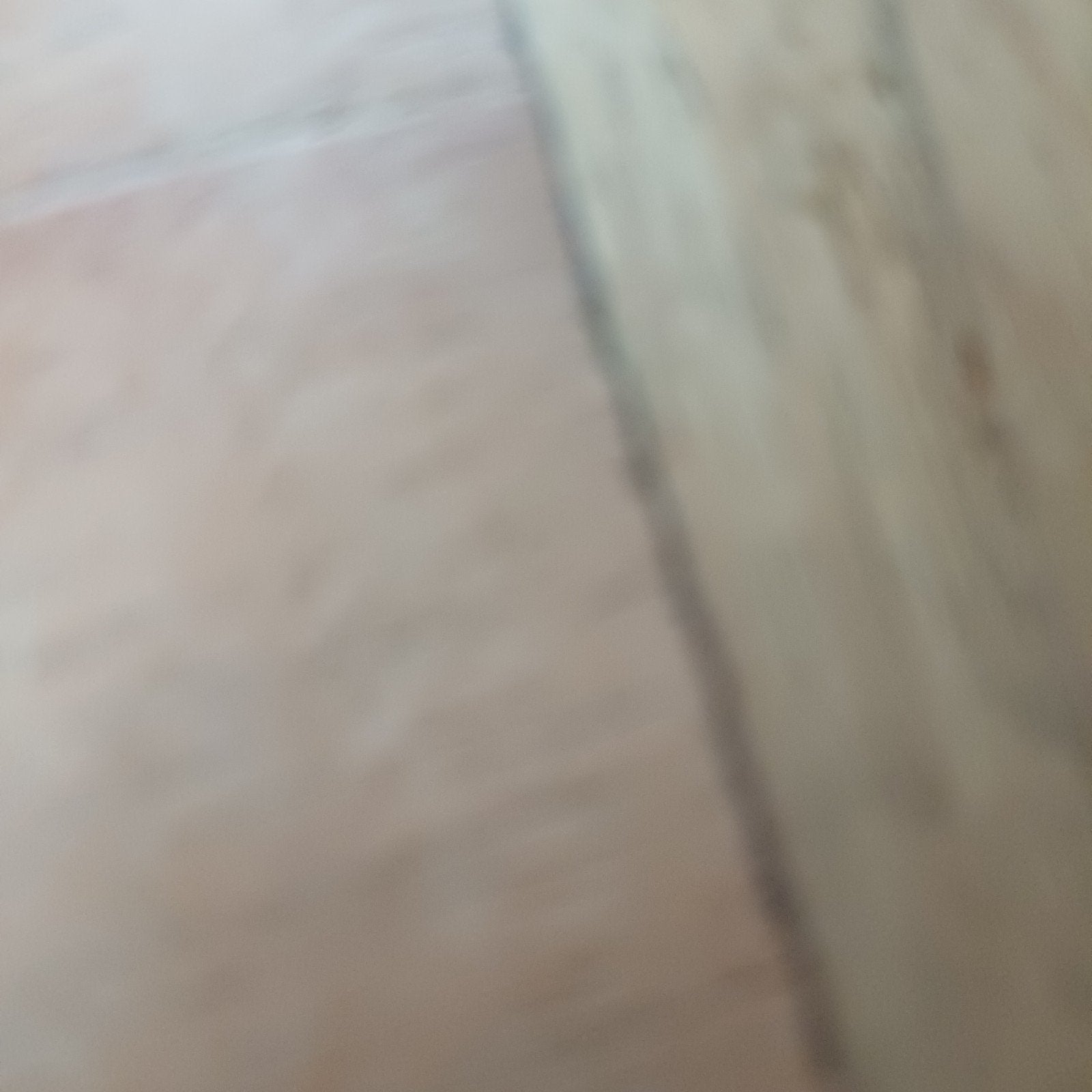 4 valkparkieten 2 koppels