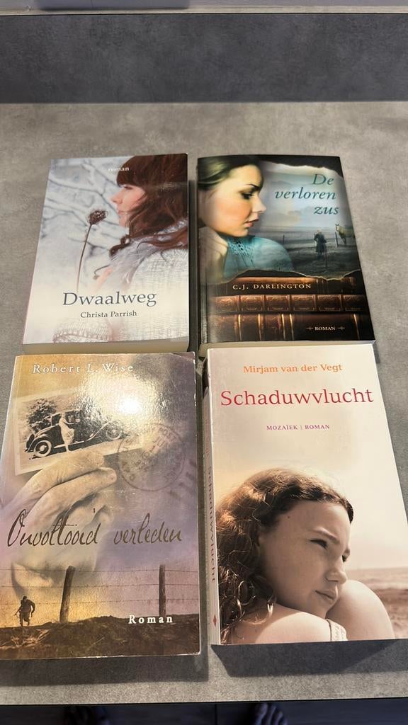 4 Christelijke romans voor 12 euro, Boeken, Romans, Ophalen of Verzenden, Zo goed als nieuw