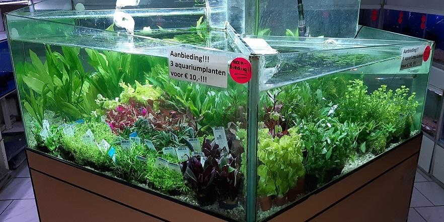 Opruiming plantenstelling!!! met pomp en ledverlichting!!!, Ophalen, Gebruikt, Leeg aquarium, Overige merken