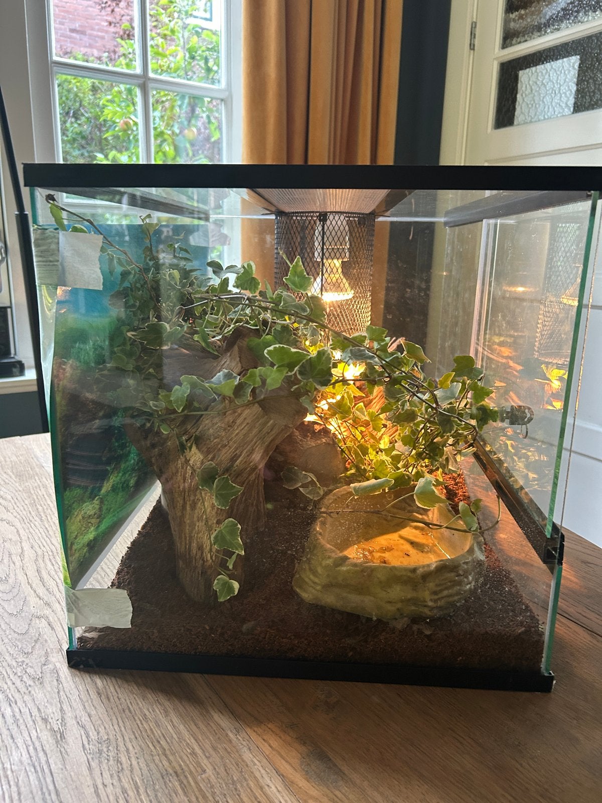 Foto 2 van Terrarium incl. Warmte lamp, waterbak en slotje