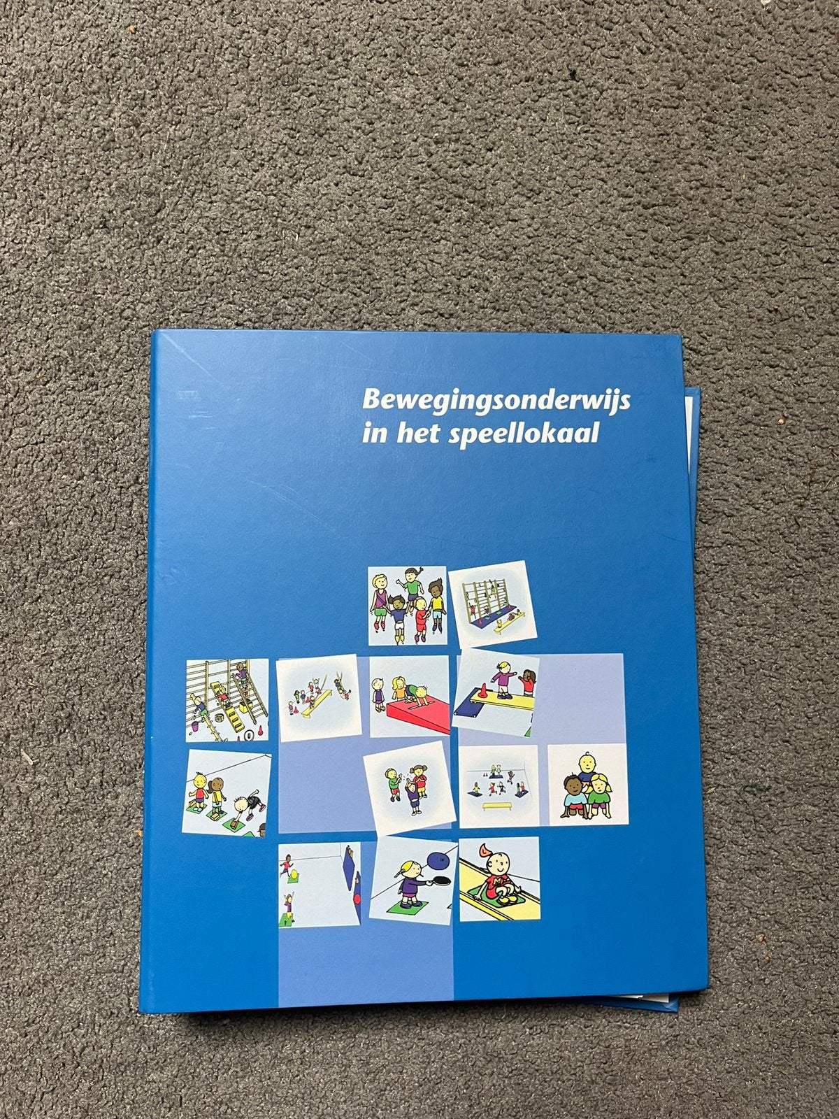 Bewegingsonderwijs in het speellokaal map, Ophalen of Verzenden, Zo goed als nieuw, Overige niveaus
