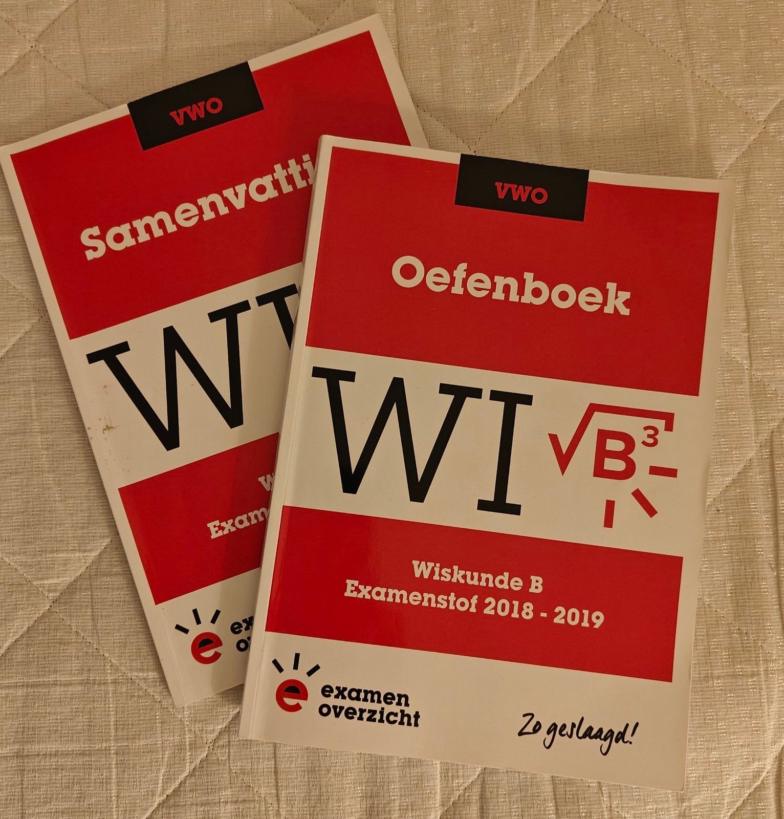 ExamenOverzicht Wiskunde B VWO Samenvatting & Oefenboek, Nieuw, Ophalen of Verzenden, Beta, ExamenOverzicht