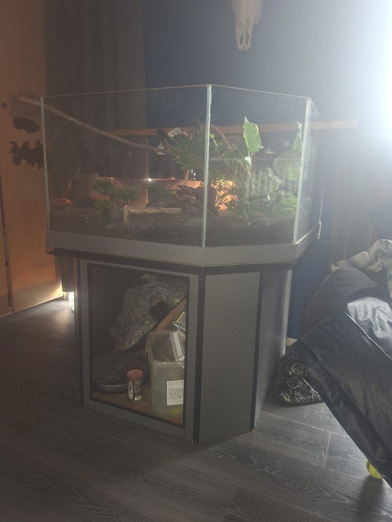 Gratis af te halen,  glazen terrarium of knaagdierbak, Ophalen, Gebruikt