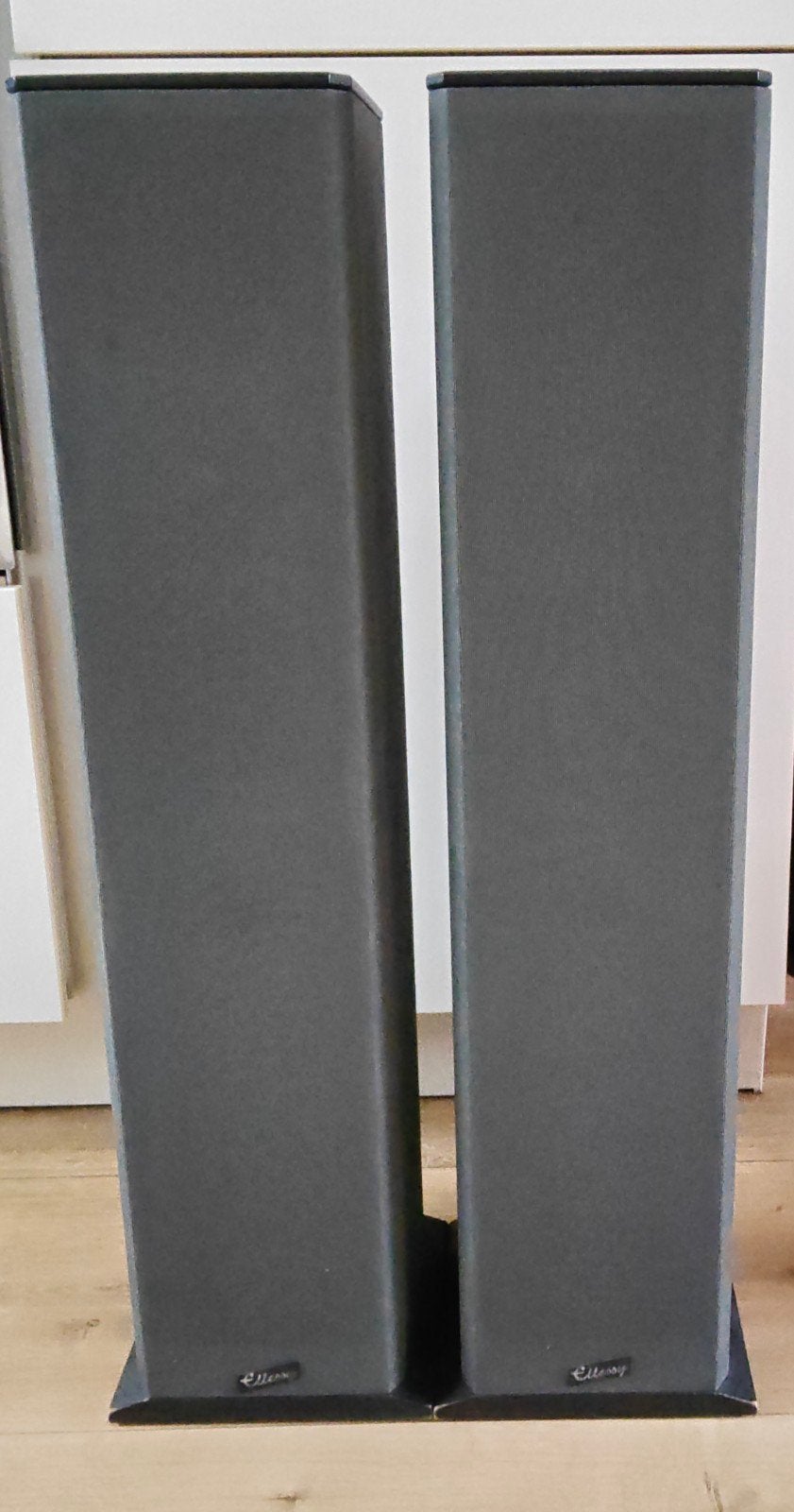 BNS type: ellessy two. vloerstaande luidsprekers., Ophalen of Verzenden, Gebruikt, 60 tot 120 watt, Overige merken