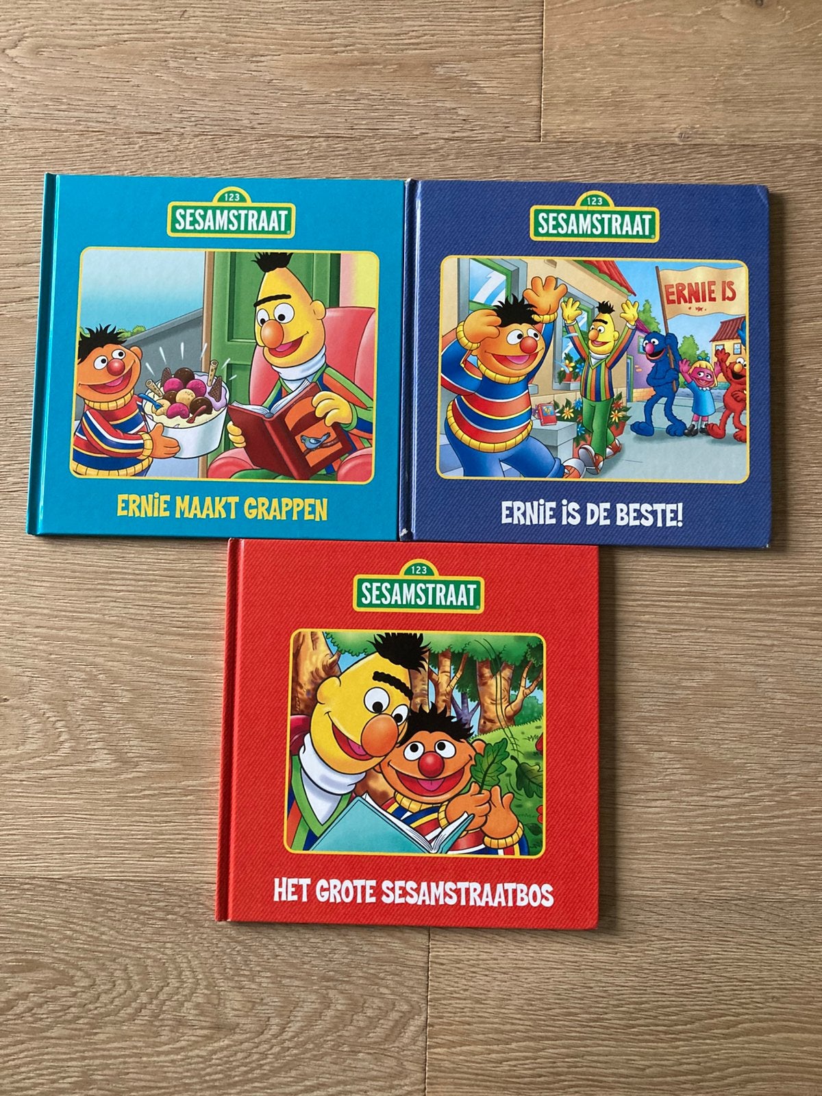 Sesamstraat boeken, Ophalen of Verzenden, Zo goed als nieuw, Non-fictie