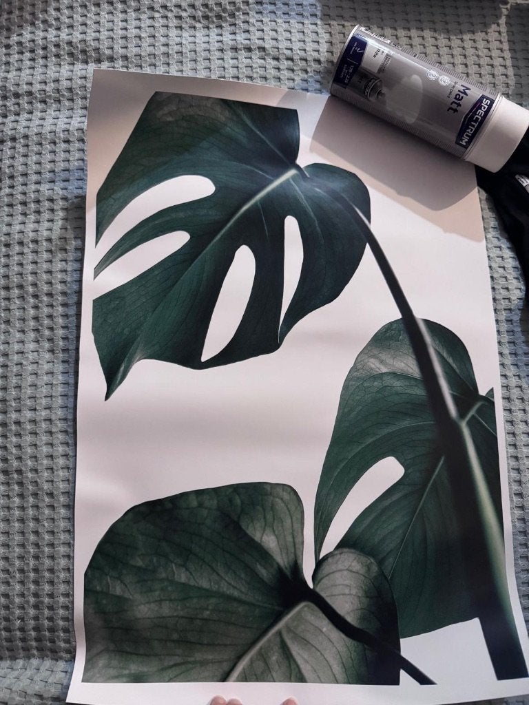 Monstera Poster - Groene Plant, Ophalen of Verzenden, Zo goed als nieuw, A1 t/m A3, Film en Tv