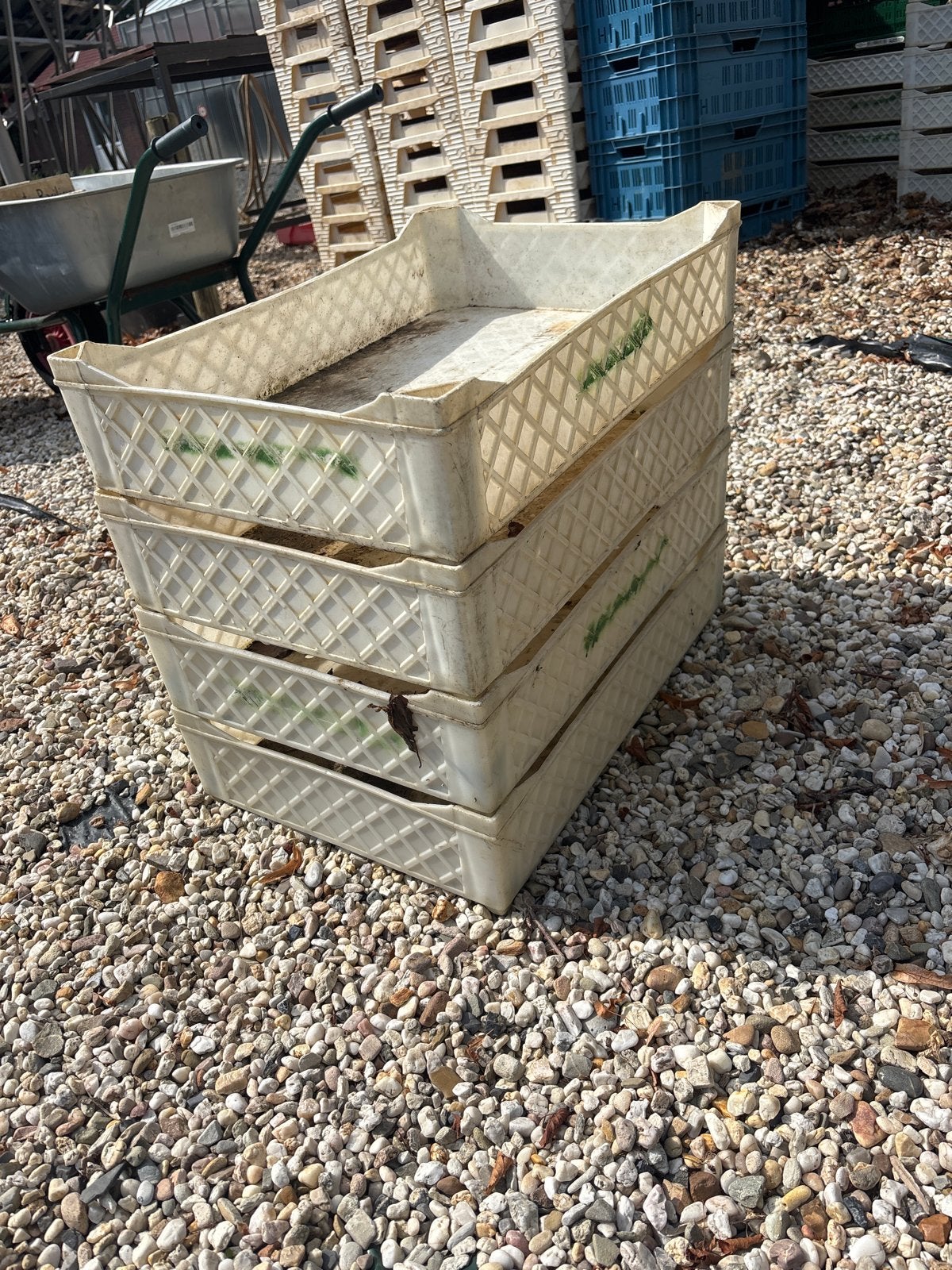 Kweekkratten/plantkratten voor zaden of potten (ca. 60 stuks, Tuin en Terras, Kweekspullen, Ophalen, Gebruikt, Kweekbak