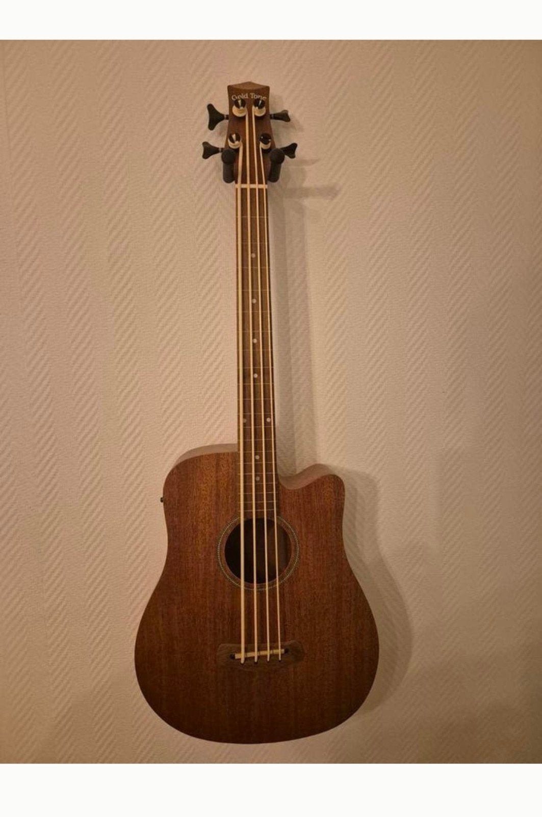 Gold Tone Micro Bass (Mbass25) fretless, Ophalen, Zo goed als nieuw
