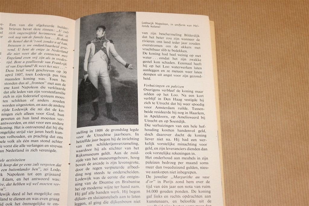 Lodewijk Napoleon [1960] — Troonafstand, Boeken, Ophalen of Verzenden, Gelezen, Europa