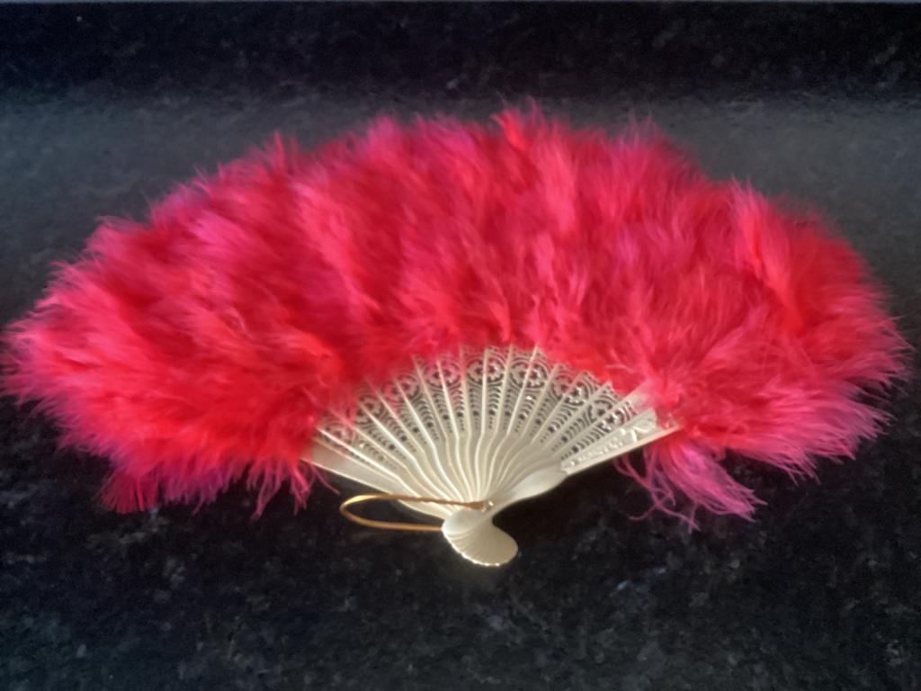 Veren waaier , boa en masker. Zie foto’s,samen €7,50, Kleding | Dames, Carnavalskleding en Feestkleding, Ophalen, Gedragen