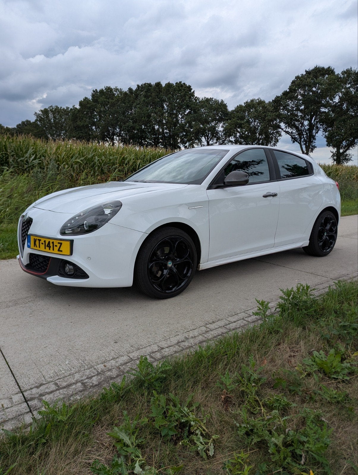 Alfa Romeo Giulietta 1.6 Jtdm super 2016 automaat, 600 kg, 1295 kg, 4 cilinders, Wit