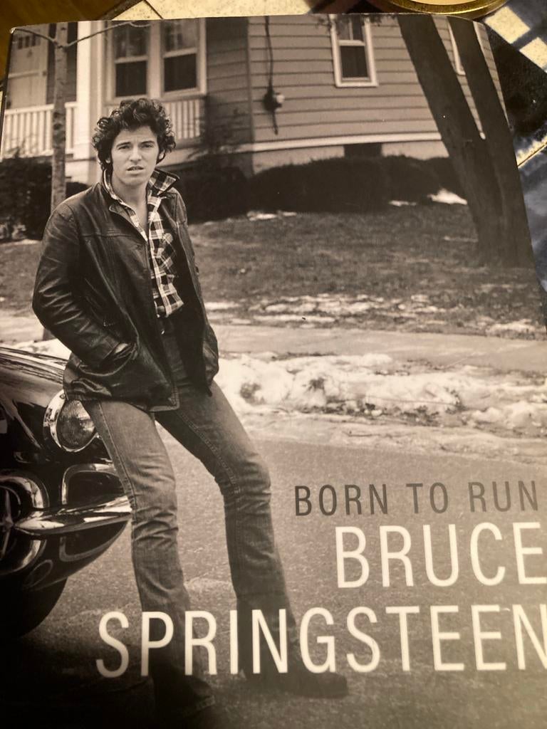Born To Run - Bruce Springsteen (Autobiografie), Ophalen of Verzenden, Gelezen, Kunst en Cultuur