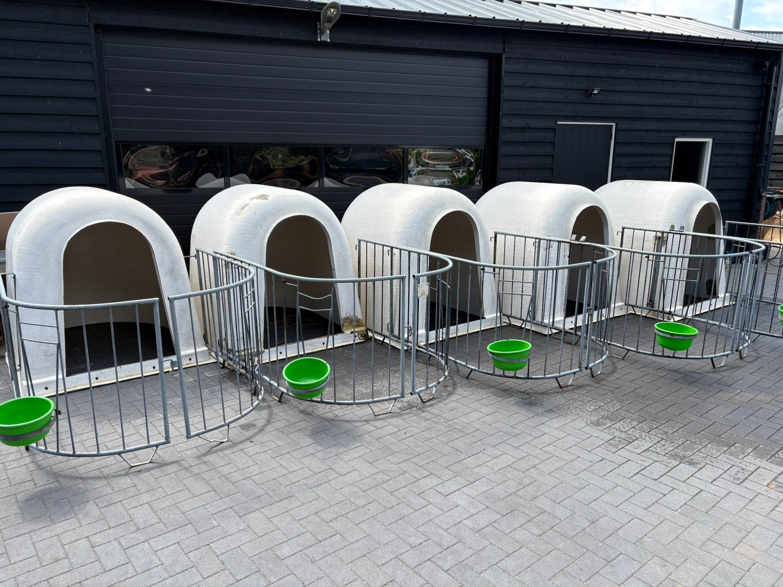 kalveriglo met hekwerk, Ophalen of Verzenden, Gebruikt
