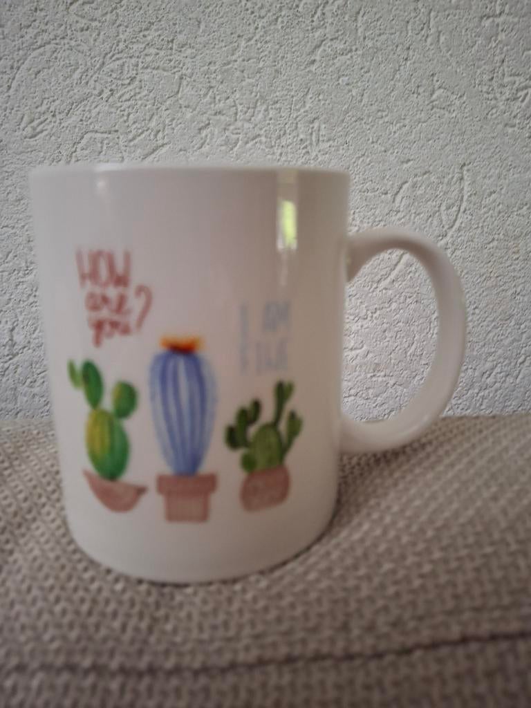 Leuke Mok met Tekst  en Cactussen, Huis en Inrichting, Keuken | Servies, Ophalen, Zo goed als nieuw, Kom(men), Overige stijlen