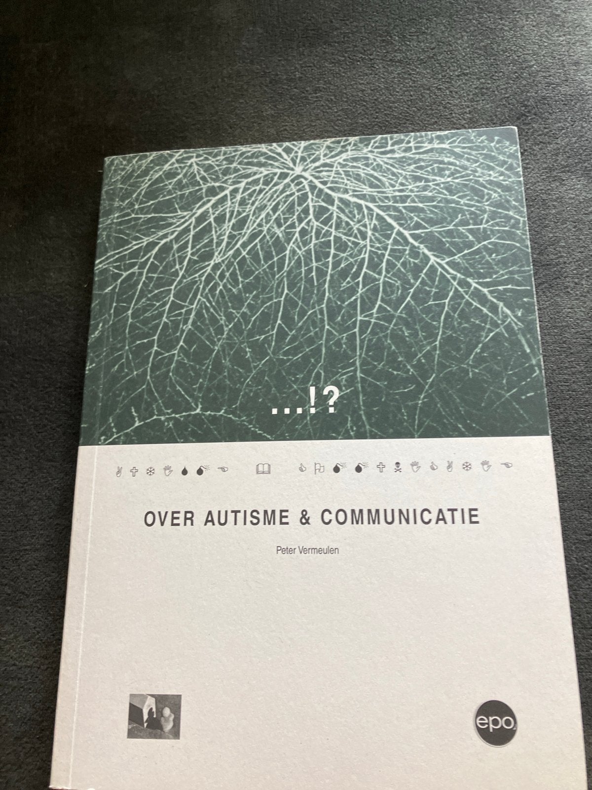 Over Autisme & Communicatie - Peter Vermeulen, Boeken, Ophalen of Verzenden, Gamma, Zo goed als nieuw, HBO