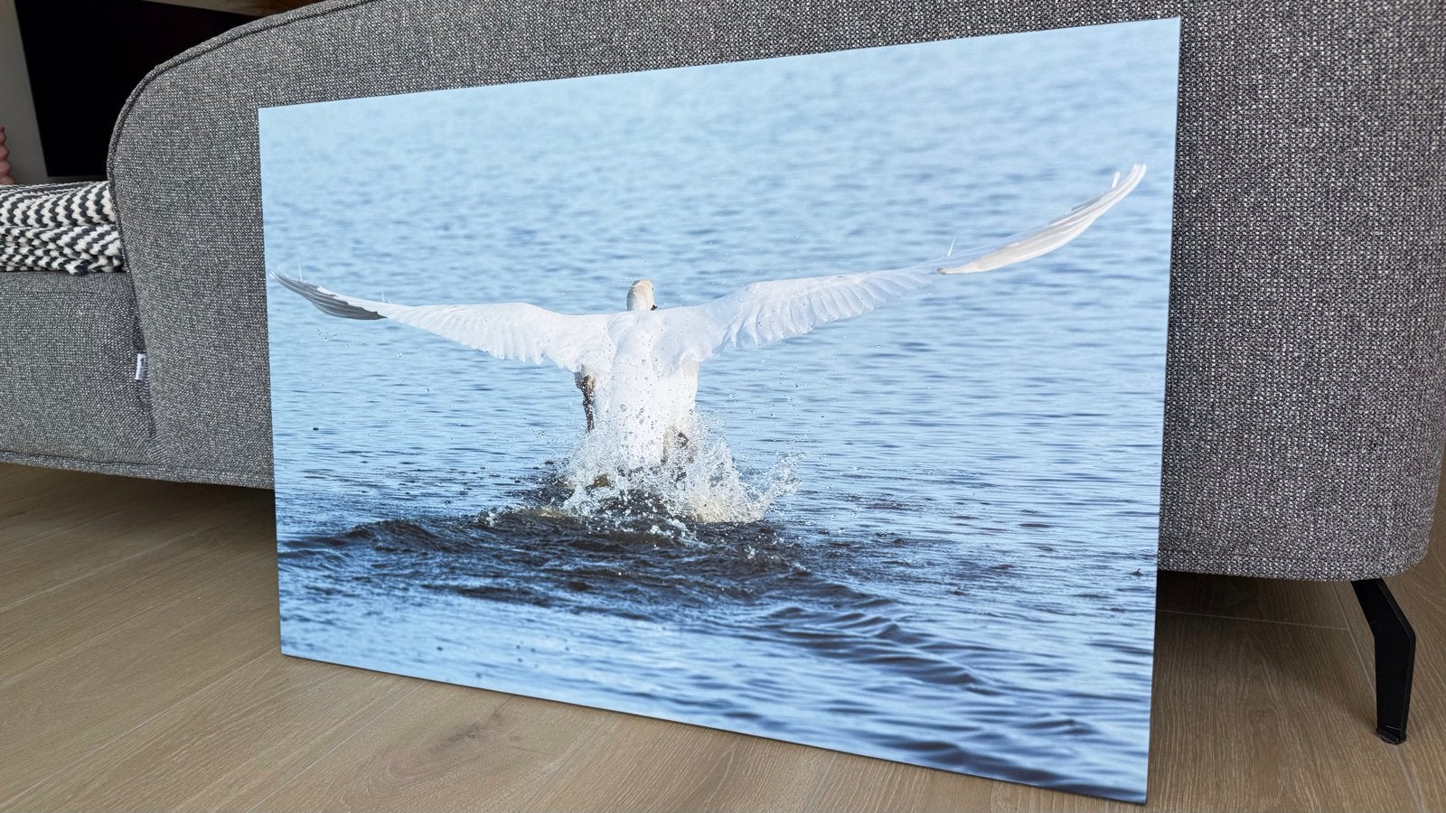 Canvas schilderij foto opstijgende zwaan op water - 90x60cm, Ophalen, 50 – 75, Oorspronkelijke maker, Zo goed als nieuw