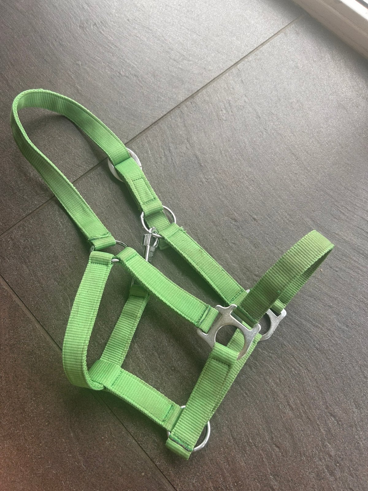 Groen halster, Ophalen of Verzenden, Gebruikt