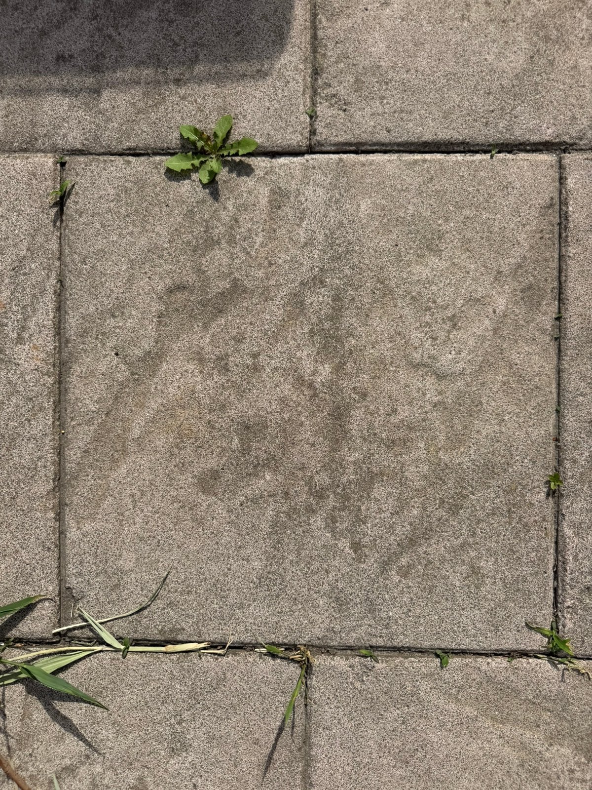 Gebruikte Betonnen terrastegels 40x40 cm 12-15 m2, Ophalen, Gebruikt, 10 m² of meer, Vloertegels