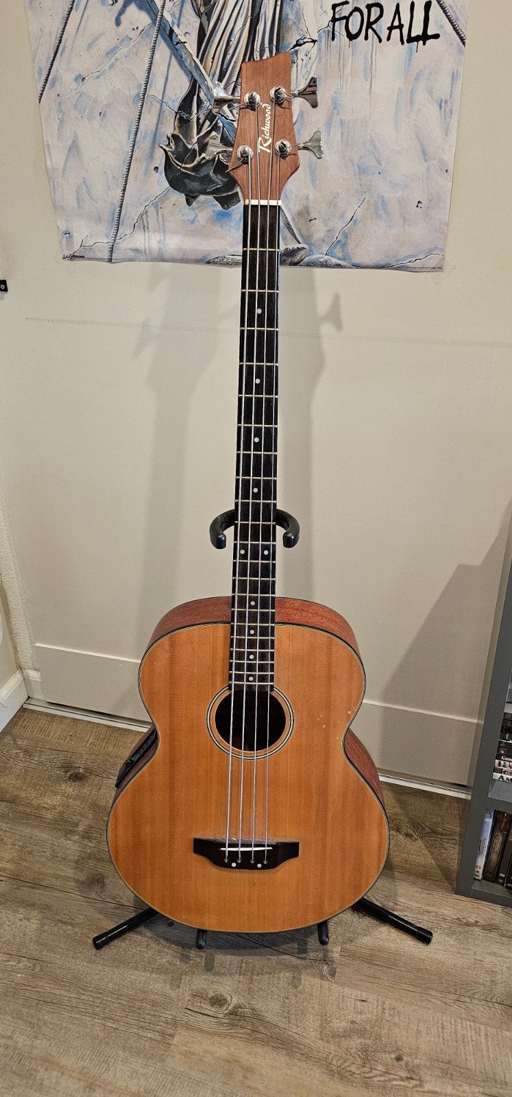 Richwood DB-100 EO Semi-akoestische basgitaar, Ophalen, Semi-akoestisch