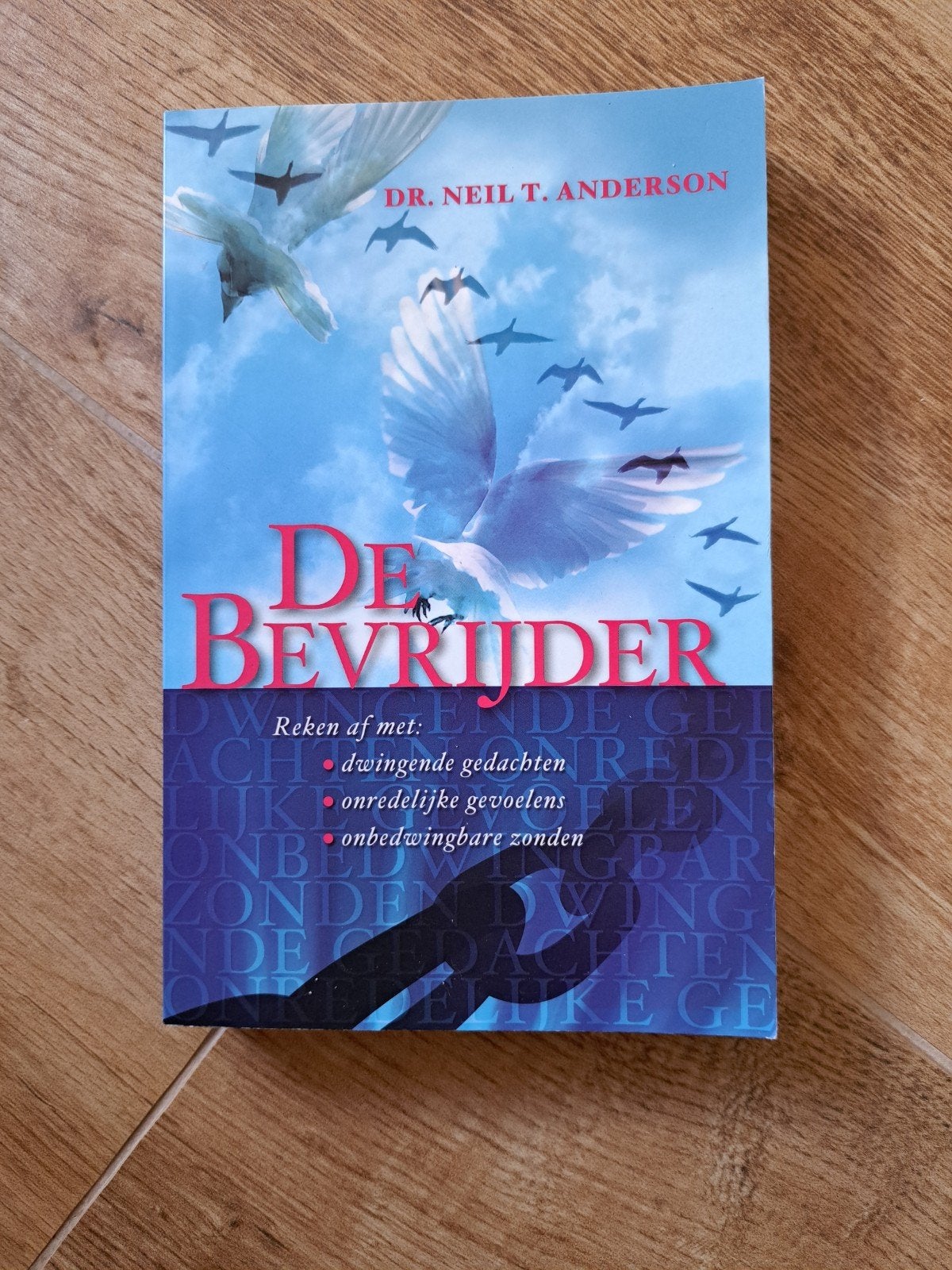 De Bevrijder - Dr. Neil T. Anderson (Gideon Boeken), Boeken, Ophalen of Verzenden