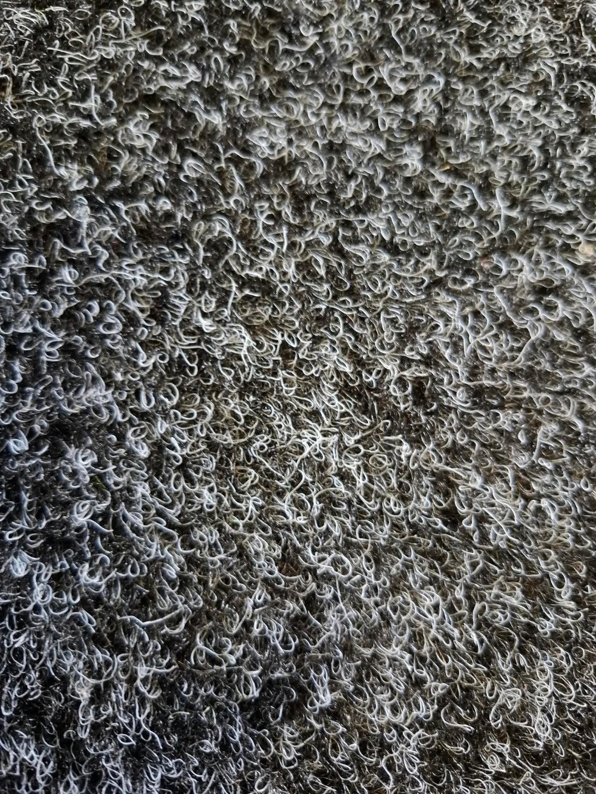 tapijt 4 x 2.5 antraciet, Ophalen, Zwart, 200 cm of meer, Zo goed als nieuw