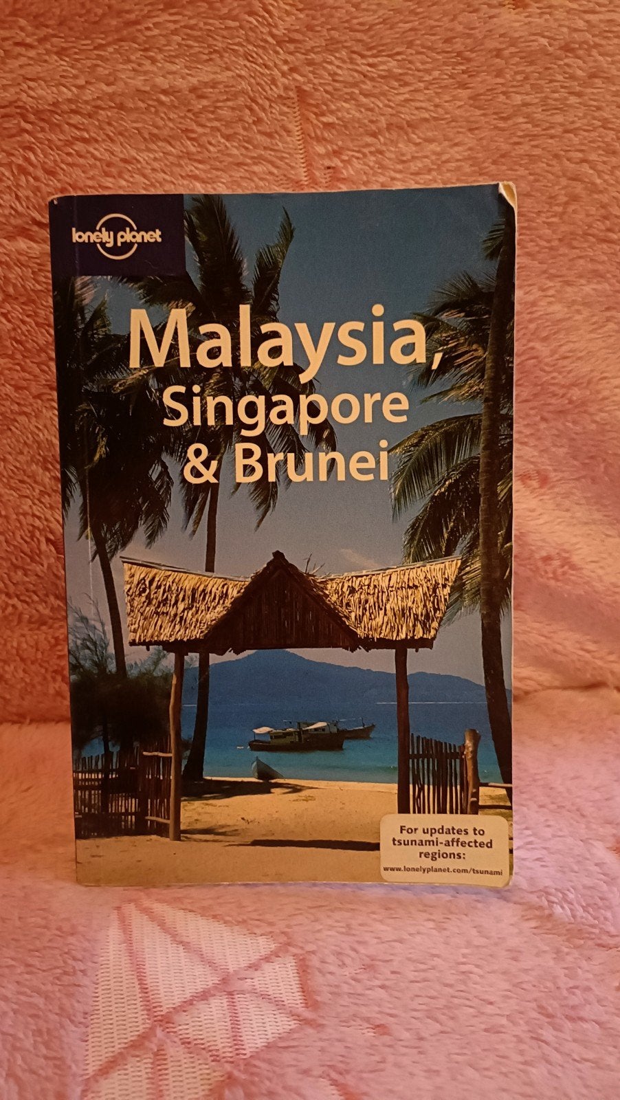 Lonely Planet - Malaysia, Singapore & Brunei, Boeken, Gelezen, Lonely Planet, Ophalen of Verzenden, Reisgids of -boek