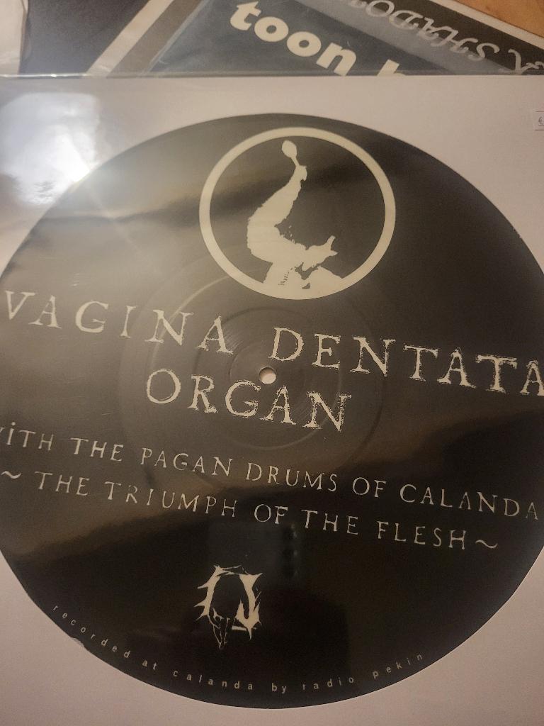 Vagina Dentata Organ, Limited edition, Ophalen, Zo goed als nieuw, 12 inch