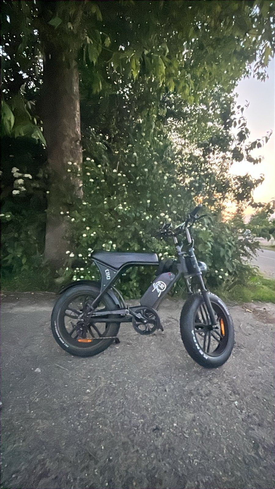 Stoere Fatbike E-bike - Zo goed als nieuw, Overige merken, Ophalen of Verzenden, Zo goed als nieuw, 51 tot 55 cm