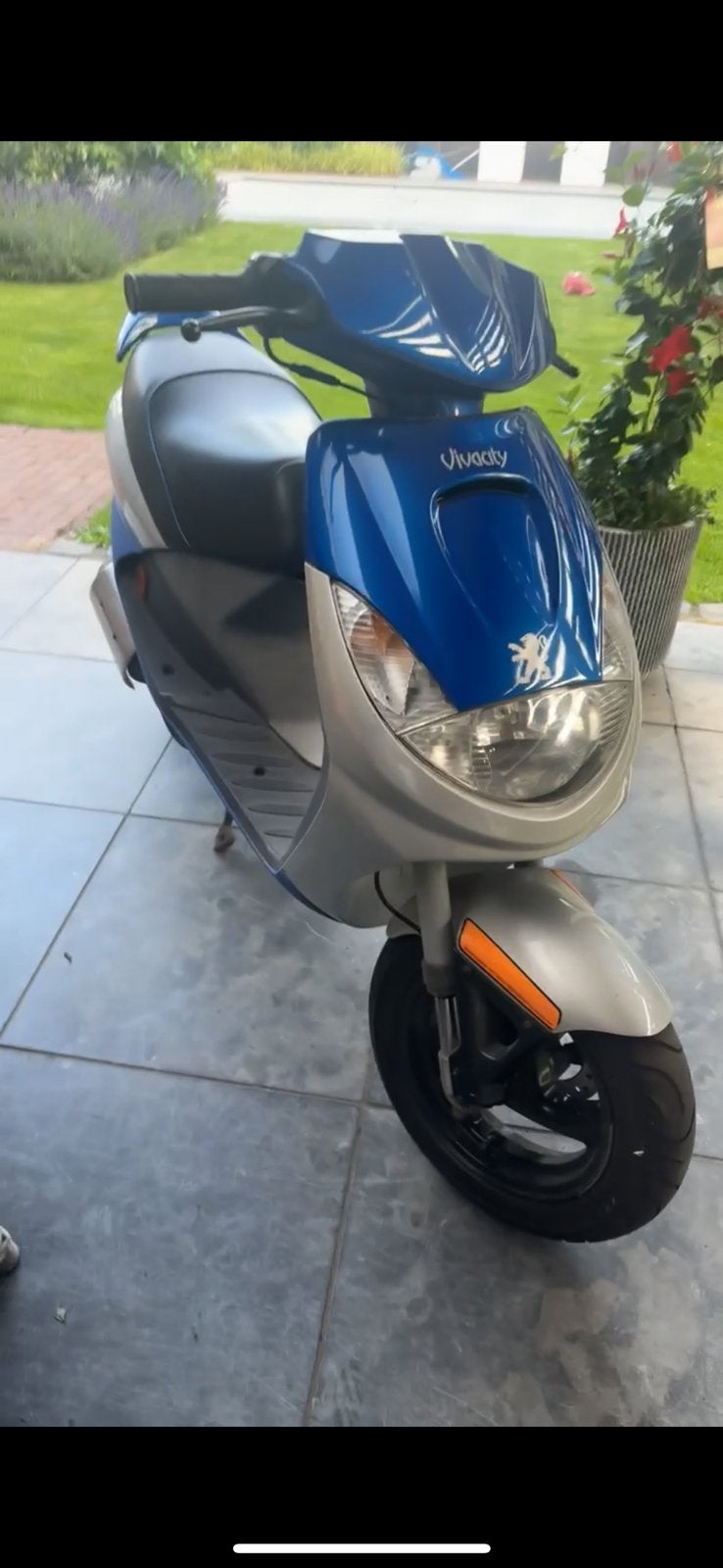 Vivacity 50cc snor, Ophalen, Zo goed als nieuw, Tweetakt, Vivacity