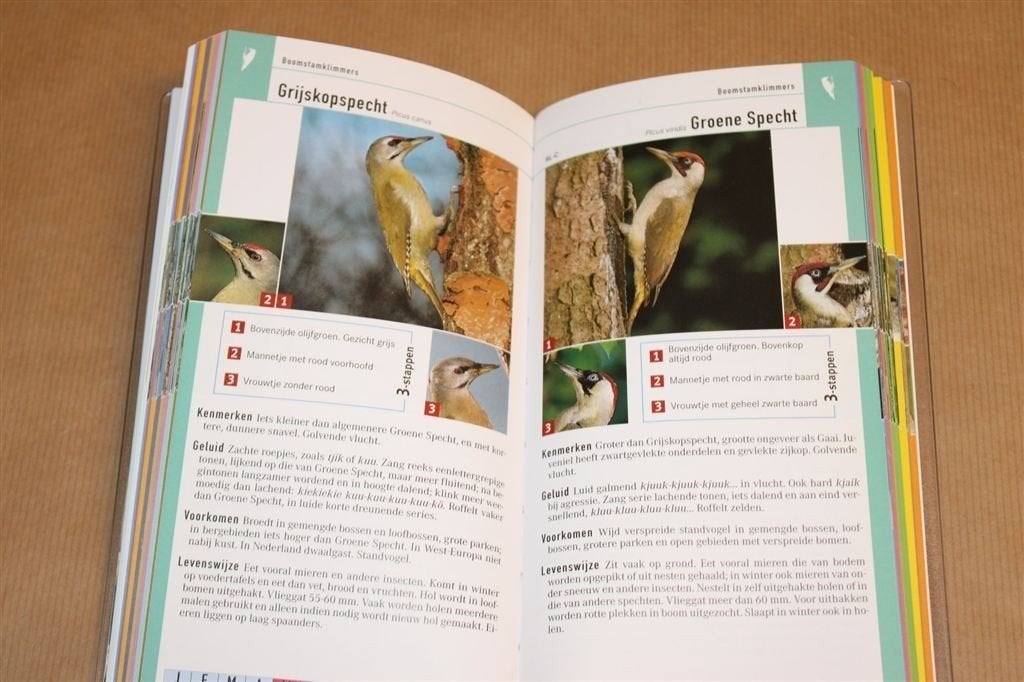 Vogels herkennen in 1-2-3 — Gids van Vogelbescherming, Ophalen of Verzenden, Zo goed als nieuw, Vogels