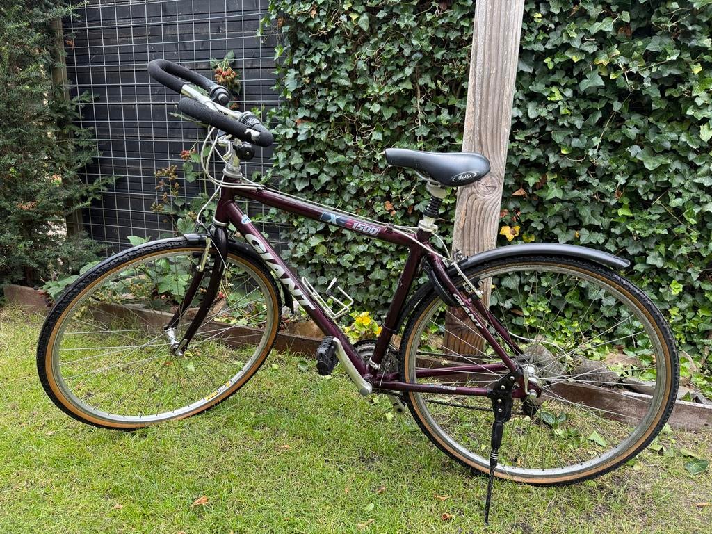 Giant X-cross Series 1500 T6 - 18 versnellingen, 19,5 inch, Ophalen, 49 tot 53 cm, Giant, Zo goed als nieuw