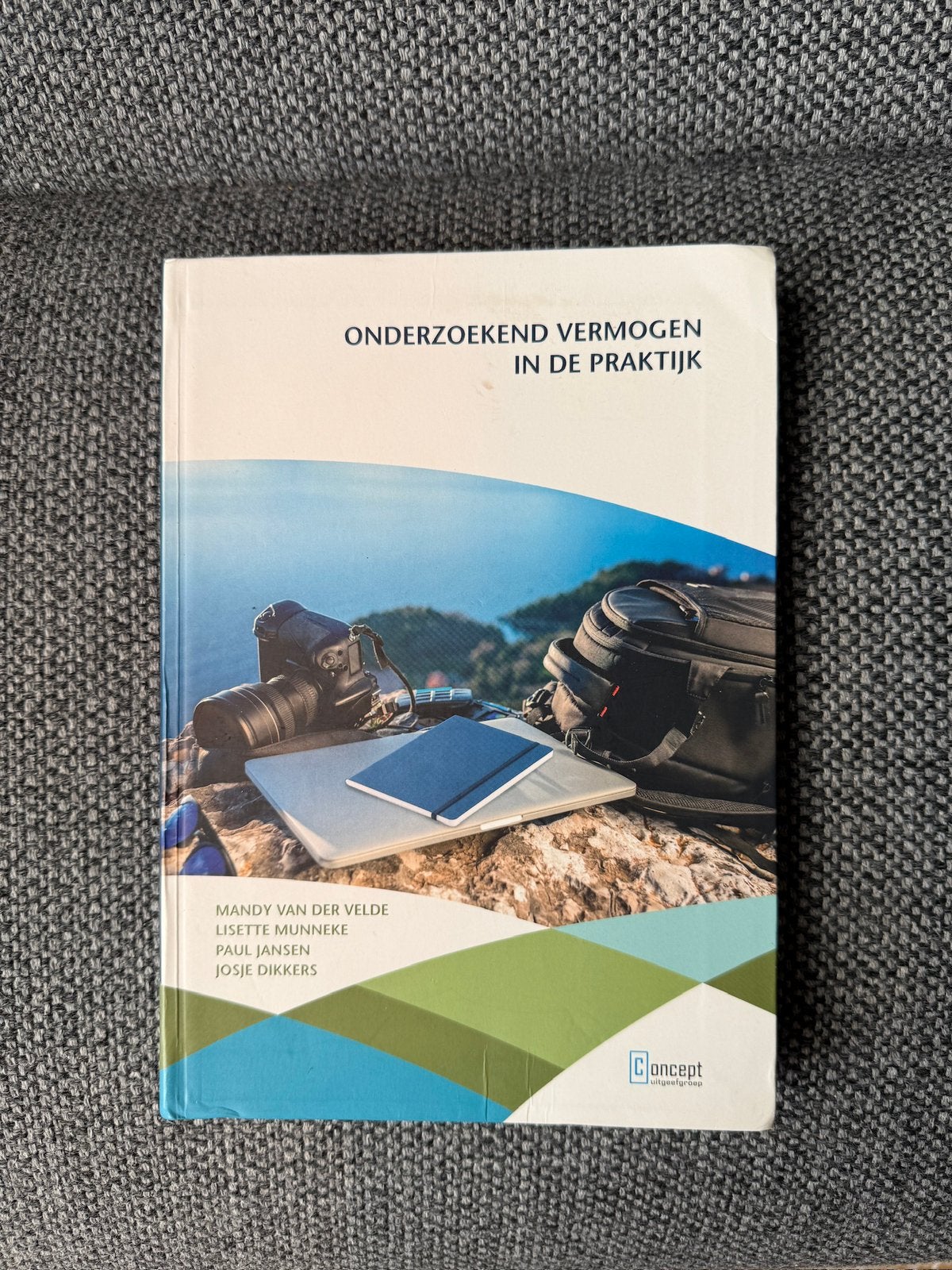 Boek onderzoekend vermogen in de praktijk, Ophalen of Verzenden, Beta, Gelezen, HBO