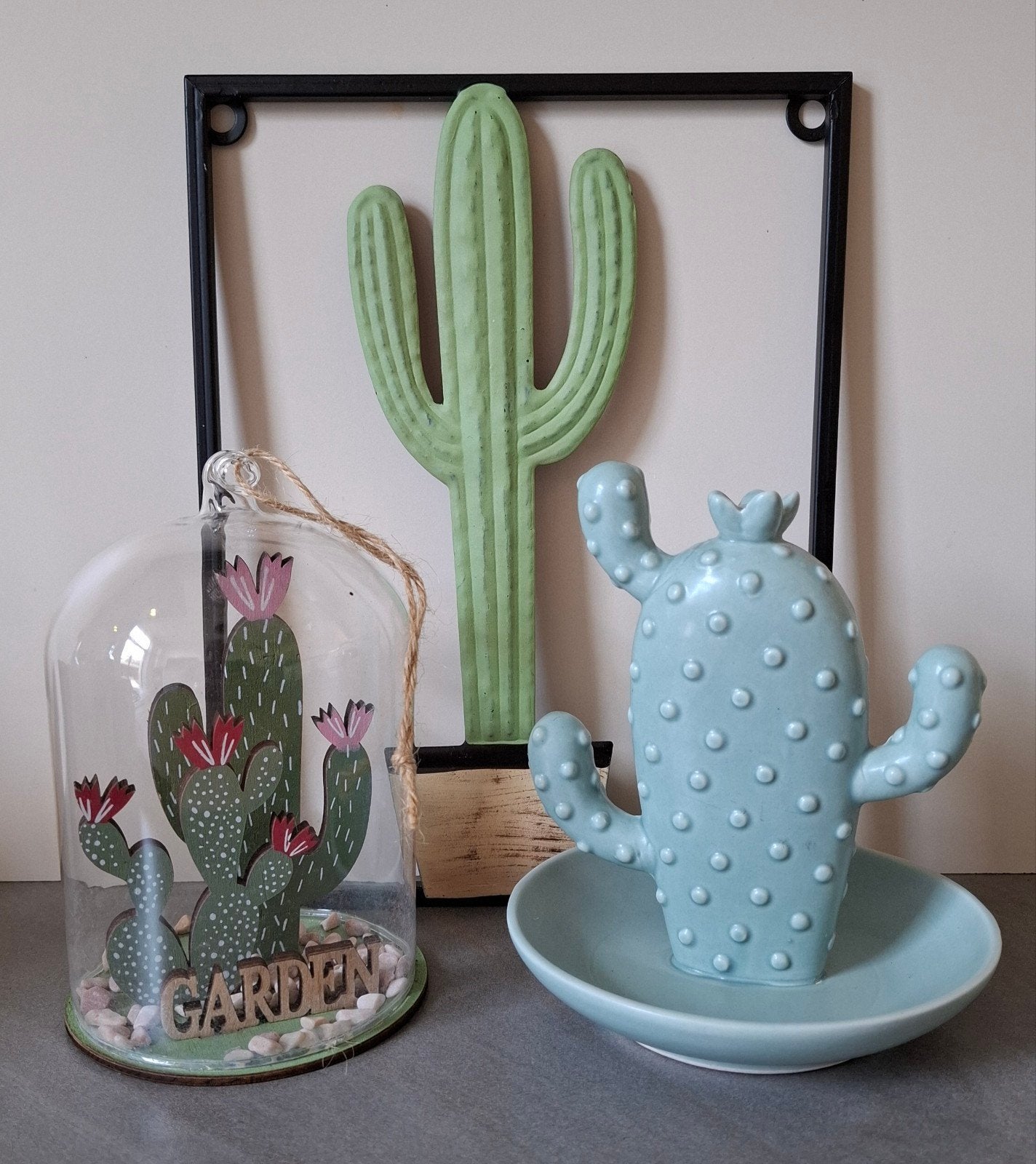 Cactus set, Ophalen of Verzenden