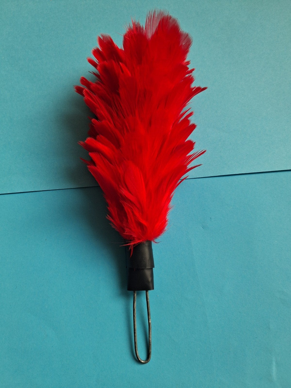Rode veren pluim. Voor pet/baret/kepie. zie foto 4., Ophalen of Verzenden, Landmacht, Nederland, Helm of Baret