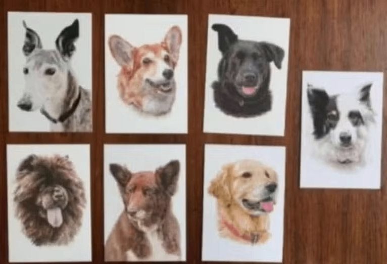 7 ansichtkaarten, kaarten hond, honden, Verzamelen, Ophalen of Verzenden, 1980 tot heden, Ongelopen, Hond of Kat