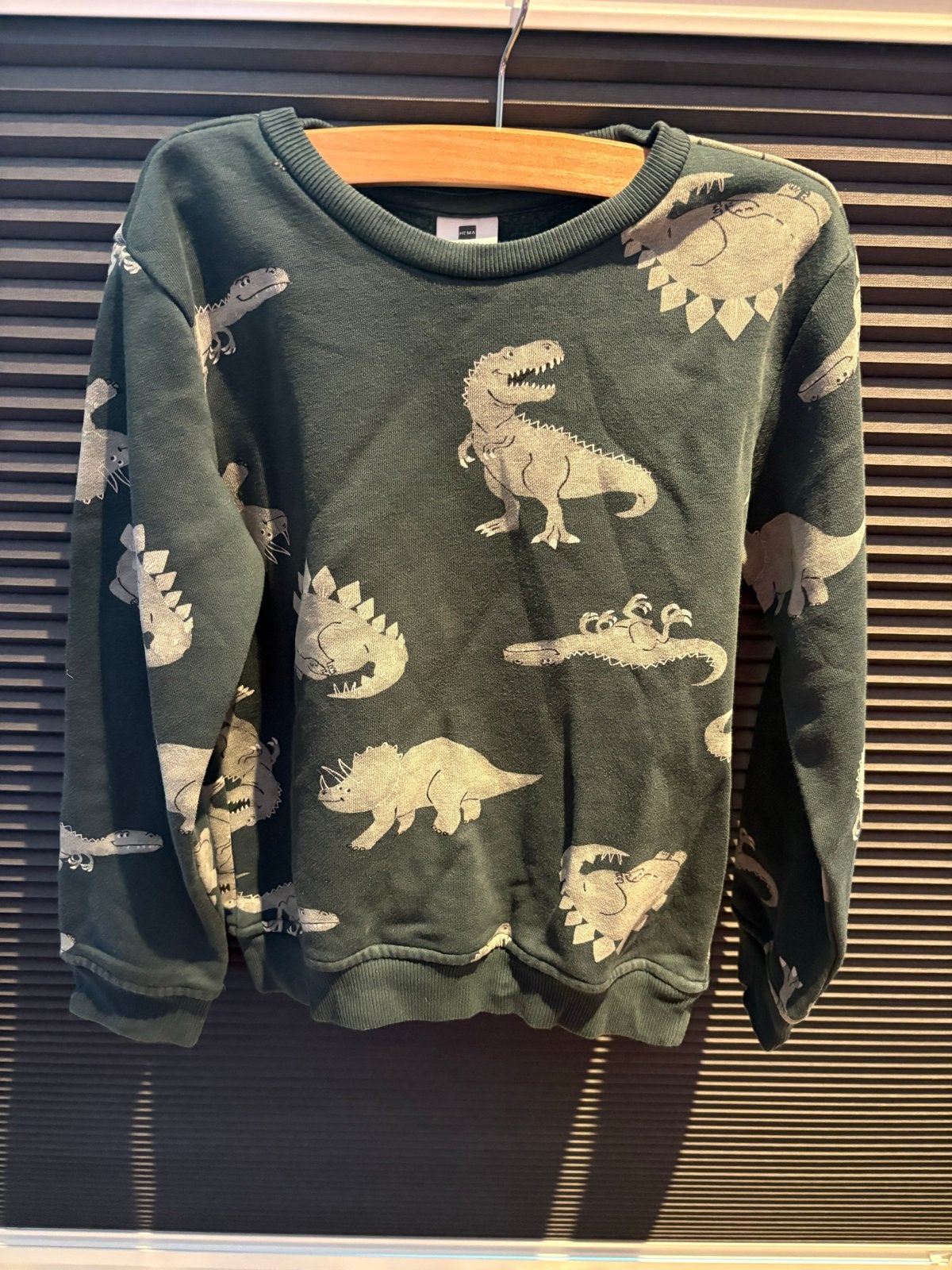 Hema trui met dinosaurusprint, maat 110/116, Kinderen en Baby's, Ophalen of Verzenden, Zo goed als nieuw, Jongen of Meisje, Trui of Vest