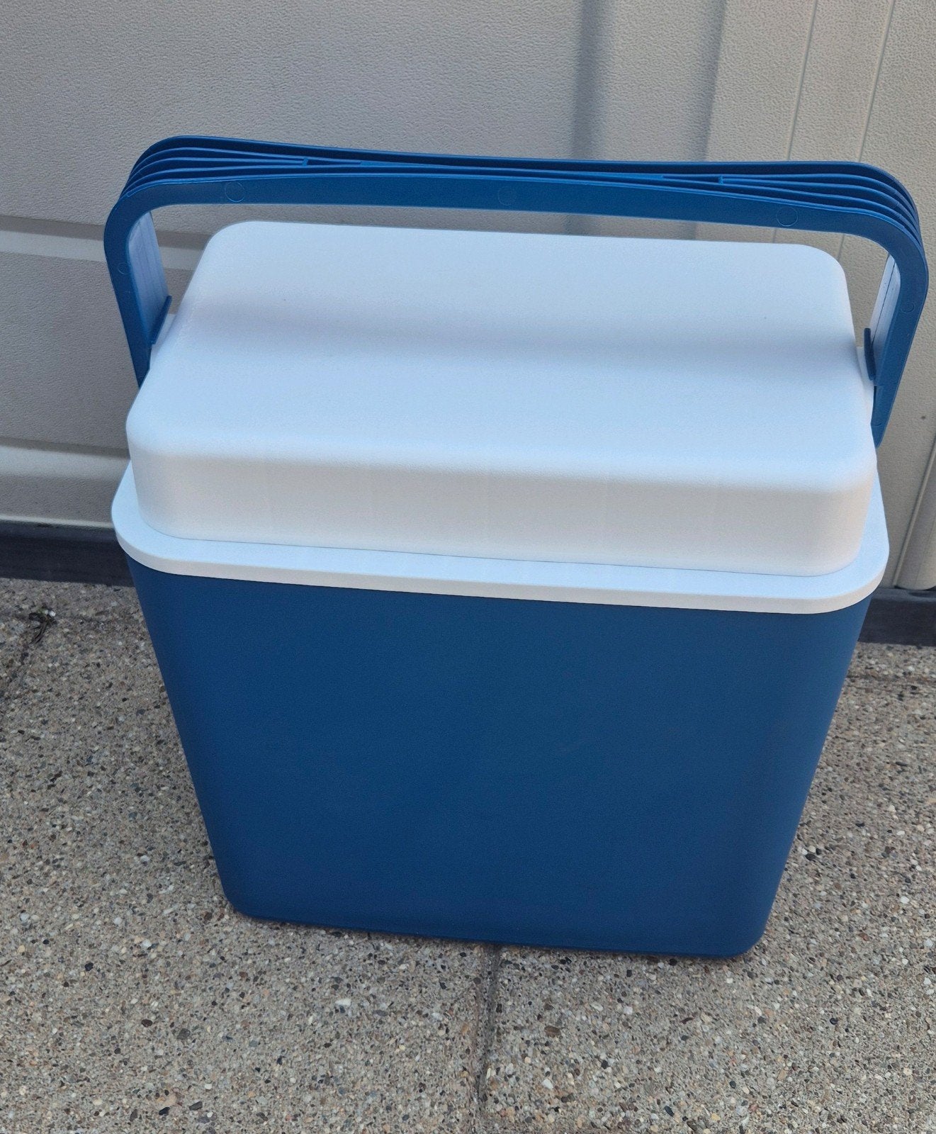 Koelbox 40 x 40 x 22 cm, Ophalen of Verzenden, Zo goed als nieuw, Koelbox