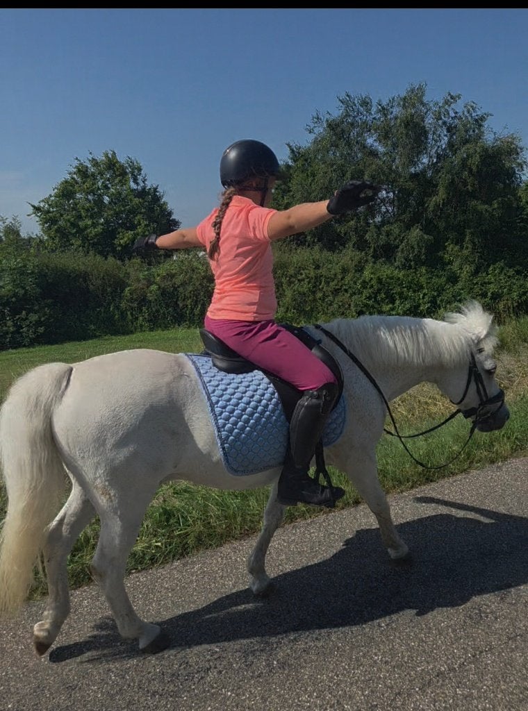 Brave allround  kinderpony, Dieren en Toebehoren, Met stamboom, Ruin, 11 jaar of ouder, Recreatiepony